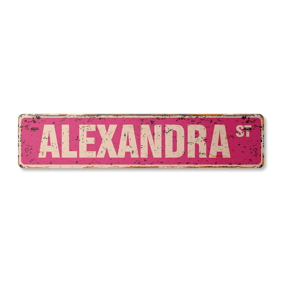 ALEXANDRA Vintage Plastic Street Sign Childrens Name Room Sign | Indoor/Outdoor |  36" Wide