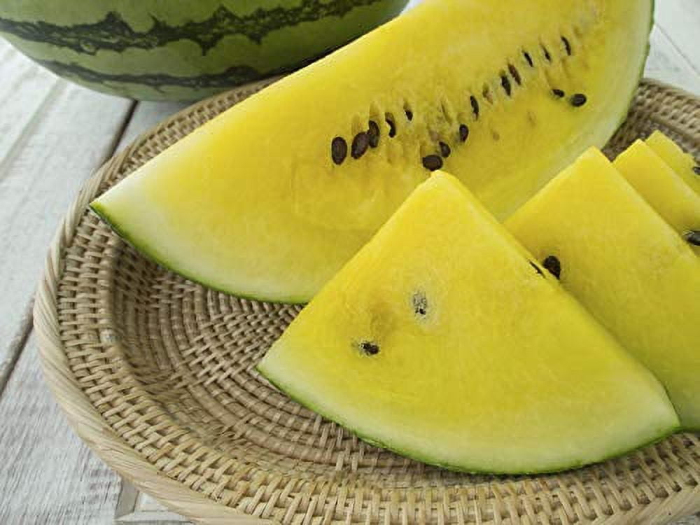 ALEXI Watermelon Seeds - Yellow Watermelon Seeds for Planting Outdoors Home Garden - HIGH Yield - HIGH Sweetness - Thin Skin - Early RIPENING - Non GMO (30)