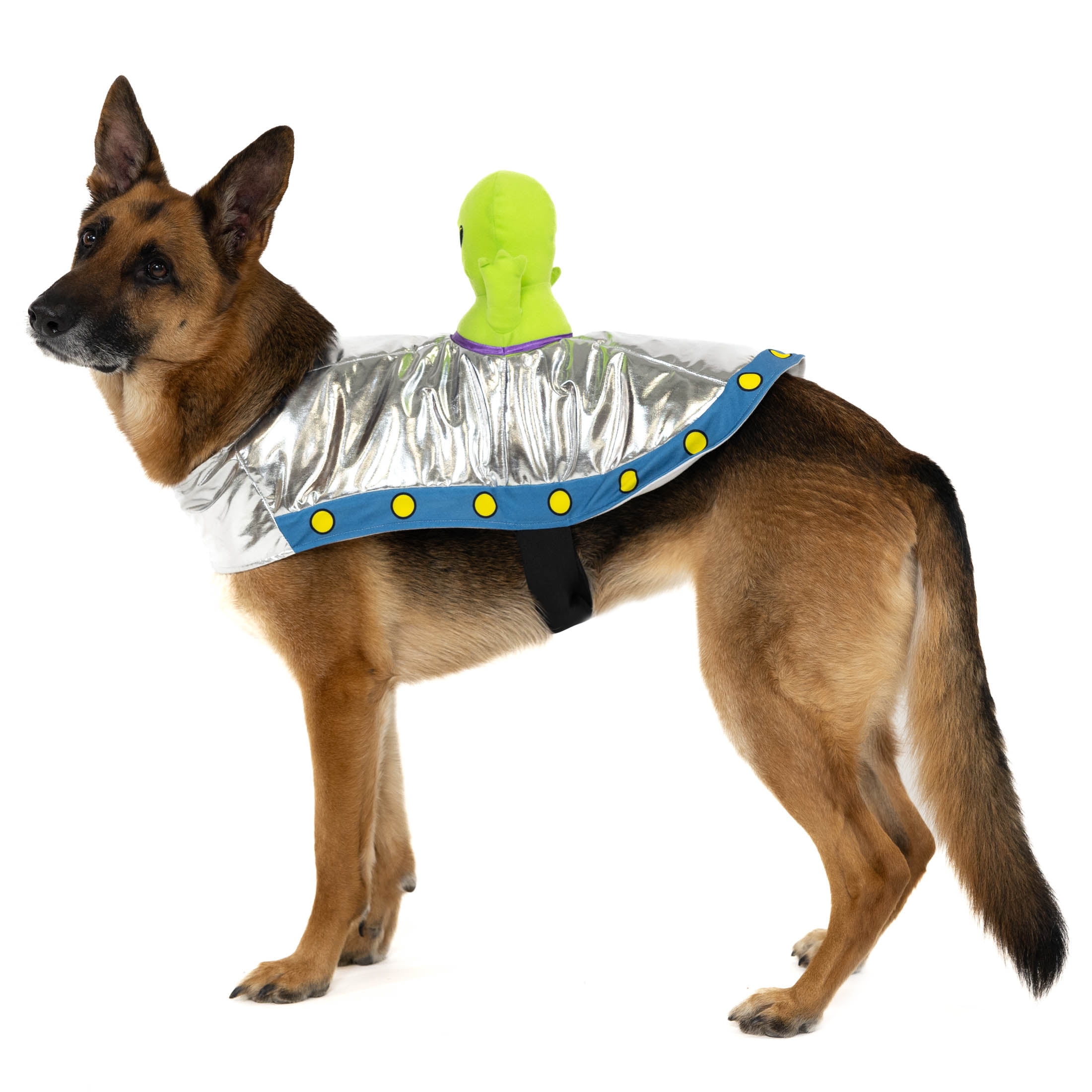 Alien Costume For Dog