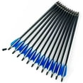 thumbnail image 1 of ALING 12 Pcs Archery Crossbow Arrows 20inch Archery Hunting Arrows Mixed Carbon Arrows Od 8.8mm Archery Targeting Arrows Nocks With Replaceable Tips, 1 of 3