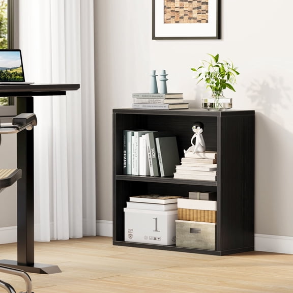 ALISENED 2 Tiers Shelf Bookcase, Stylish and Functional Bookshelf for Home, Office, Living Room and Bed Room