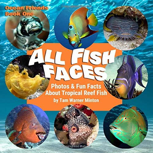 Pre-Owned ALL FISH FACES: Photos and Fun Facts about Tropical Reef Fish (Ocean Friends) Paperback
