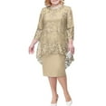 thumbnail image 1 of ALLLIST Plus Size Women's Dress Crew Neck 3/4 Sleeve Beige Dress 2 Piece Lace Embroidered Dresses for Women, 1 of 4