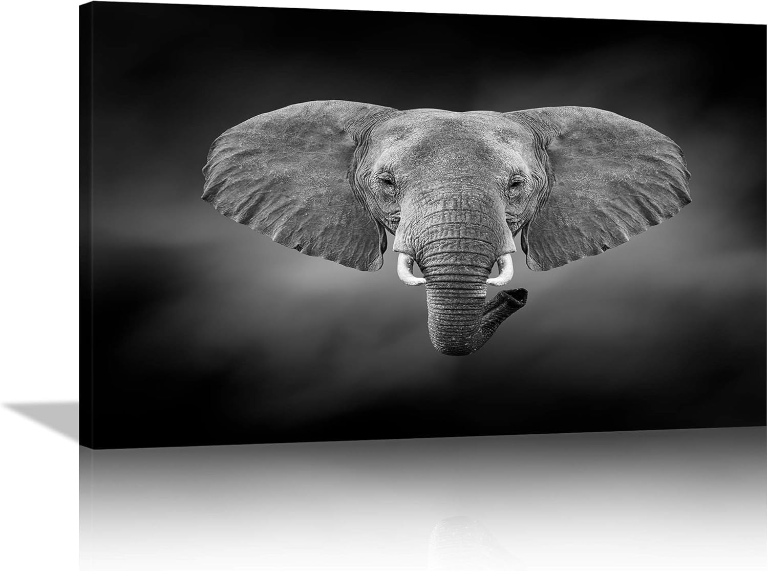 ALOUYA Black and White Elephant Wall Art of Animal Prints on Canvas