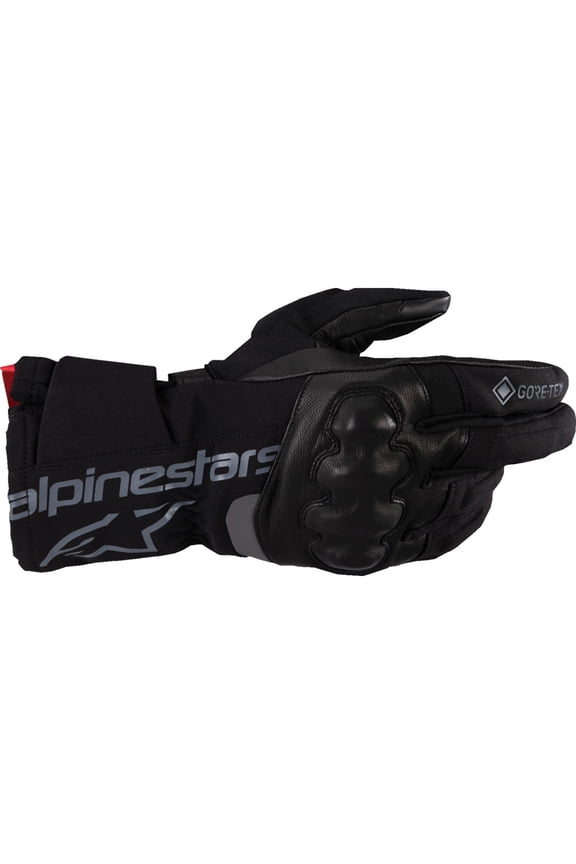 ALPINESTARS WT-4 Gore-Tex? Gloves - Black - 2XL 3520425-10-2X