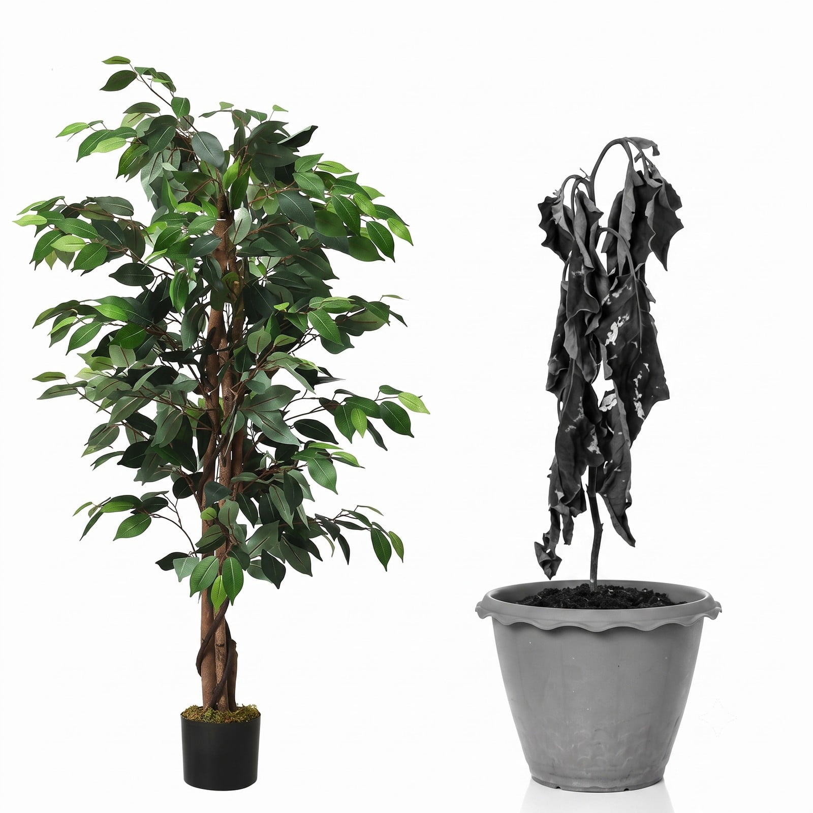 ALPULON 4 Feet Artificial Ficus Silk Tree, Indoor Outdoor Faux Ficus Plant with 504 Leaves, Hardwood Trunk and Cement Base Potted Fake Tree for Home Office, Green