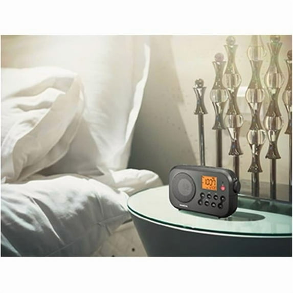 AM & FM NOAA Weather Alert Digital Tuning Portable Radio