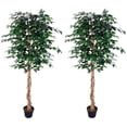 thumbnail image 1 of AM0912FC6FTPK2 Gorgeous Ficus Trees Artificial Silk Plant, 6', Emerald Green, 2, 1 of 3