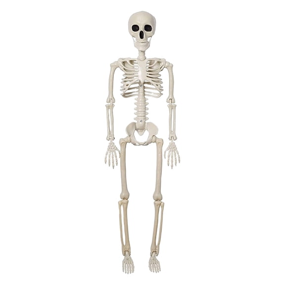 AMARHH Simulation Human Skeleton, 35 Inch Skeleton Halloween Decorations, Realistic Full Body Movable Posable Joints Skeleton, Creepy Halloween Plastic Skeleton for Graveyard Decorations