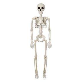 AMARHH Simulation Human Skeleton, 35 Inch Skeleton Halloween Decorations, Realistic Full Body Movable Posable Joints Skeleton, Creepy Halloween Plastic Skeleton for Graveyard Decorations