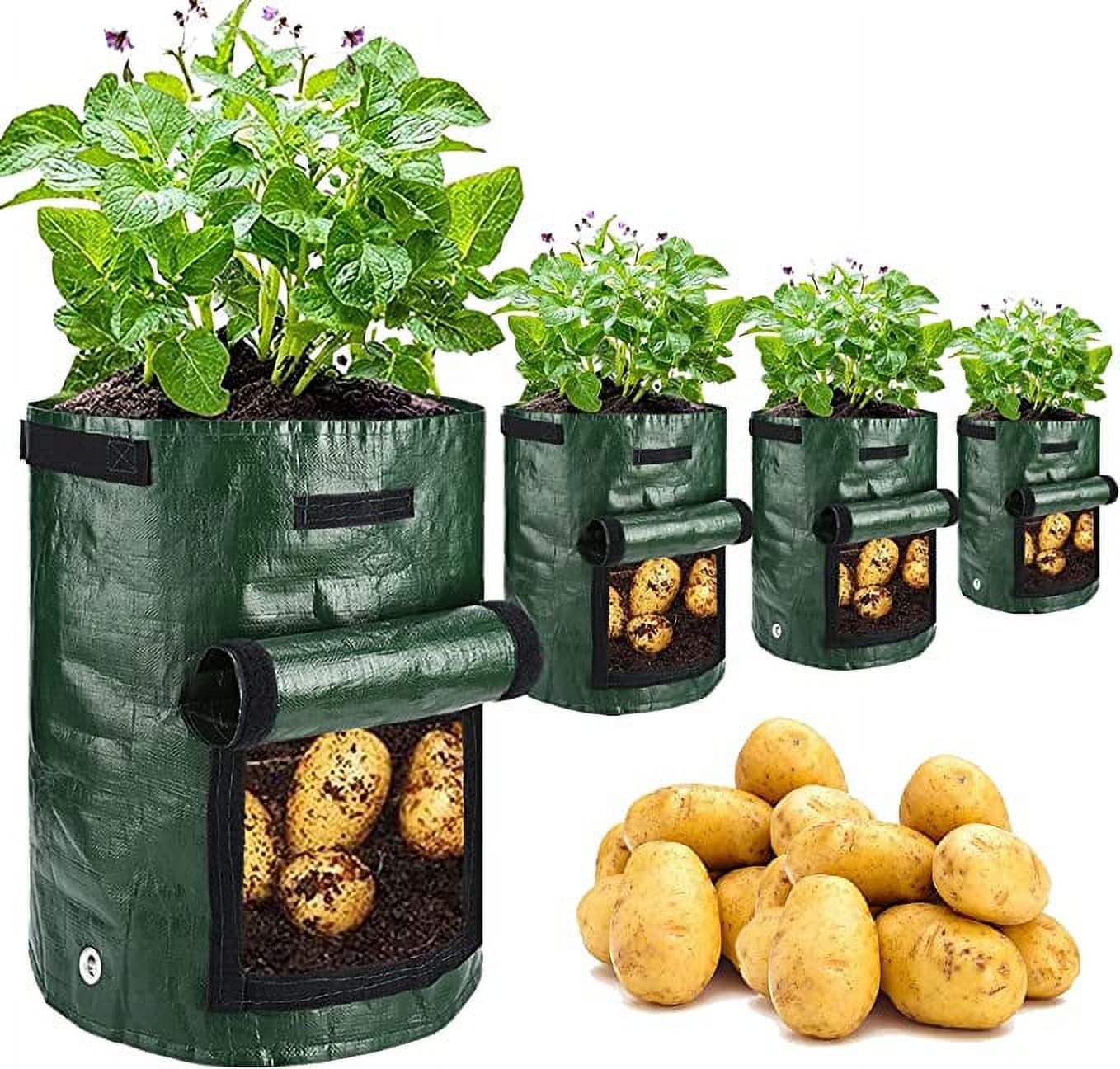 AMAXUN 10 Gallon Garden Potato Grow Bags with Flap and Handles Aeration Fabric Pots Heavy Duty