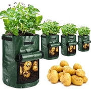AMAXUN 10 Gallon Garden Potato Grow Bags with Flap and Handles Aeration Fabric Pots Heavy Duty Vegetable Planter Bag for Tomato, Fruits,Black,Dark Green