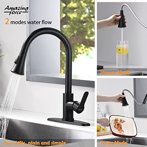 AMAZING FORCE Single Handle Pull Down Sprayer Kitchen Faucet with 2