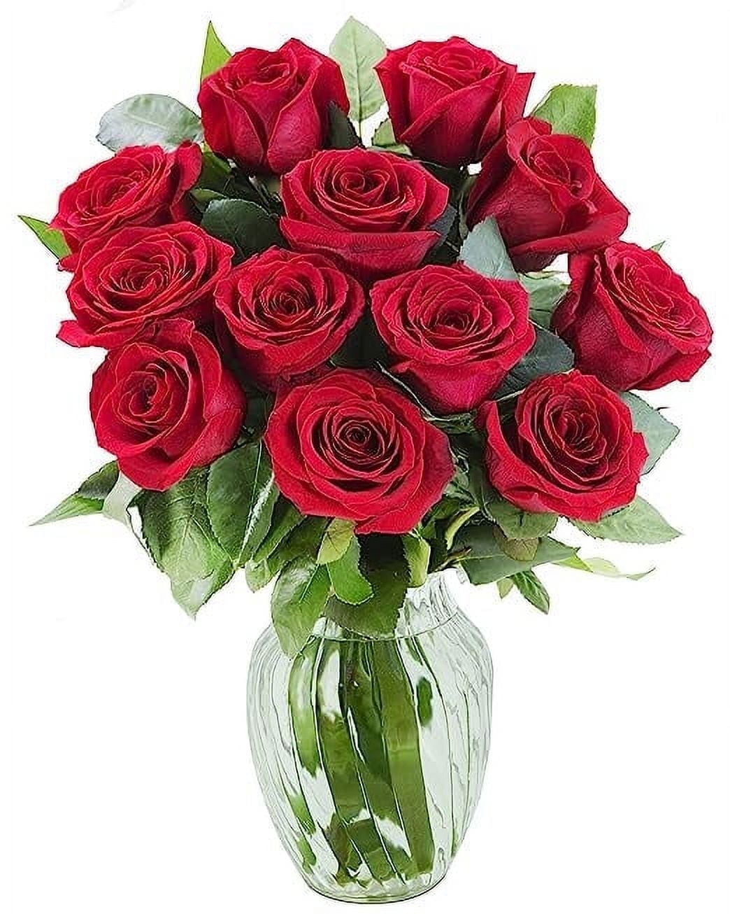 KaBloom :Bouquet of Fresh Cut Flower 12 Fresh Red Roses with Vase.
