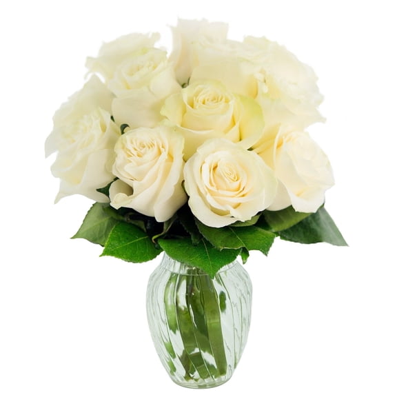 KaBloom : 12 White Roses with Vase, Next-Day Delivery, Gift for Every Occasion.