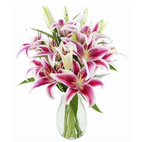 KaBloom :Bouquet of Pink Pop Stargazers 8 Stargazer Lilies and Greens with Vase.