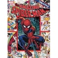 thumbnail image 1 of Pre-Owned Look and Find: The Amazing Spiderman (Hardcover) 1450840388 9781450840385, 1 of 1