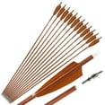 thumbnail image 1 of AME 12pcs 30" Carbon Arrows Spine 600 SP600 4'' Turkey Feather Archery Recurve Bow Tip Hunting, 1 of 7