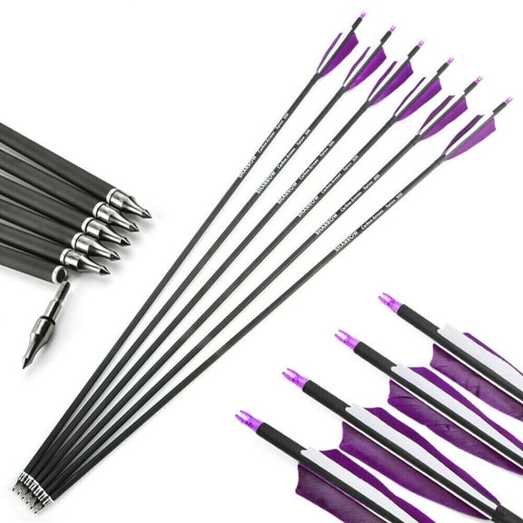 AME 30" Carbon Arrows SP500 Natural Feather Screw-In Points Archery Bow Hunt Shoot