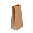 thumbnail image 1 of AME D'ESSENCE (#3-100 pc) Kraft Brown Paper Bags Reusable Grocery Bags Great Gift Bag Recyclable Shopping Bags Lunch Snack Bags Size 4.7" L x 2.7" W x 8.5" H, 1 of 8