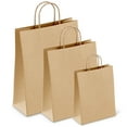 thumbnail image 1 of AME D'ESSENCE (75 pcs) Kraft Brown Paper Bags w/Handles Reusable Grocery Bags Great Gift Bag Recyclable Shopping Bags Large-Medium-Small Sizes, 1 of 8