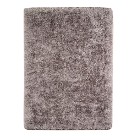 AMER Dark Gray Shag Area Rug 2'x3'