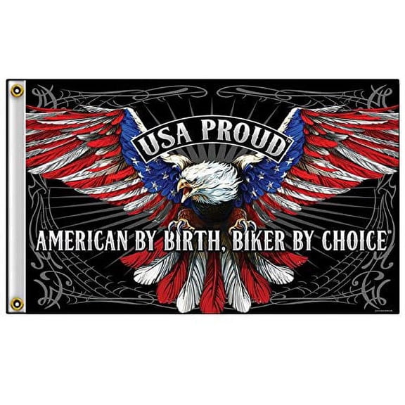AMERICAN FLAG EAGLE - Exclusive Original Artwork, Outdoor Biker FLAG, 3' X 5'