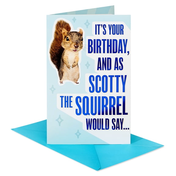 American Greetings Funny Birthday Card for Anyone (Scotty the Squirrel)