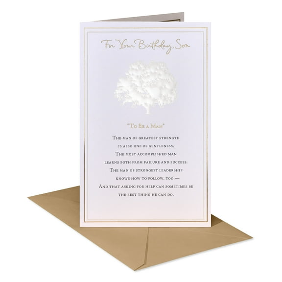 American Greetings Birthday Card for Son (Strength and Gentleness)
