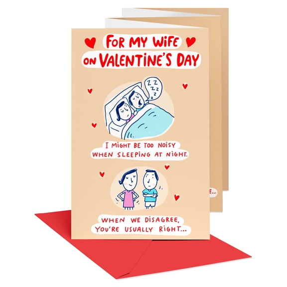 American Greetings Funny Romantic Valentine's Day Card for Wife (Perfectly Lucky)