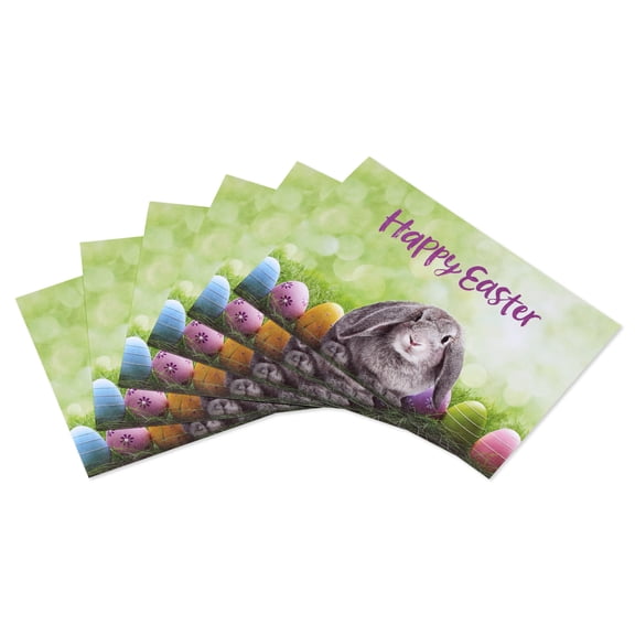 American Greetings Easter Card Pack, Bunny and Eggs (6-Count)