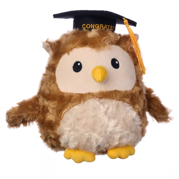 American Greetings Graduation Plush Owl with Grad Cap (1-Count)