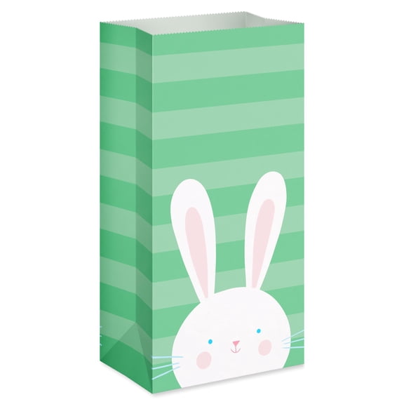 American Greetings 10.38 in. Easter Themed Lunch Bag, Bunny on Green Stripes (1 Bag)