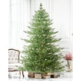 thumbnail image 1 of AMERZEST 6 FT Unlit Aspen Fir Artificial Christmas Tree,Hinged/Feel Real/No Lights Xmas Tree, 1 of 4