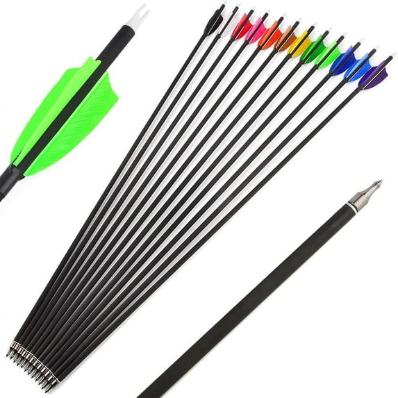 AMEYXGS 6/12Pcs 30Inch Carbon Arrow Spine 500 Practice Hunting Arrows with 100 Grain Removable Tips for Compound & Recurve Bow & Longbow