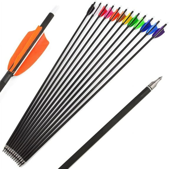 AMEYXGS 6/12Pcs 30Inch Carbon Arrow Spine 500 Practice Hunting Arrows with 100 Grain Removable Tips for Compound & Recurve Bow & Longbow