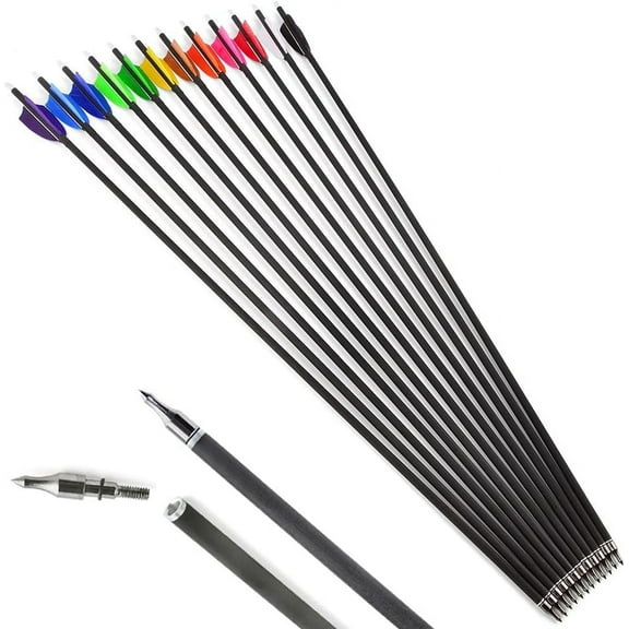 AMEYXGS 6/12Pcs 30Inch Carbon Arrow Spine 500 Practice Hunting Arrows with 100 Grain Removable Tips for Compound & Recurve Bow & Longbow