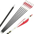 AMEYXGS ARCHERY Professional Carbon Arrows 4'' Feather SP500 Compound