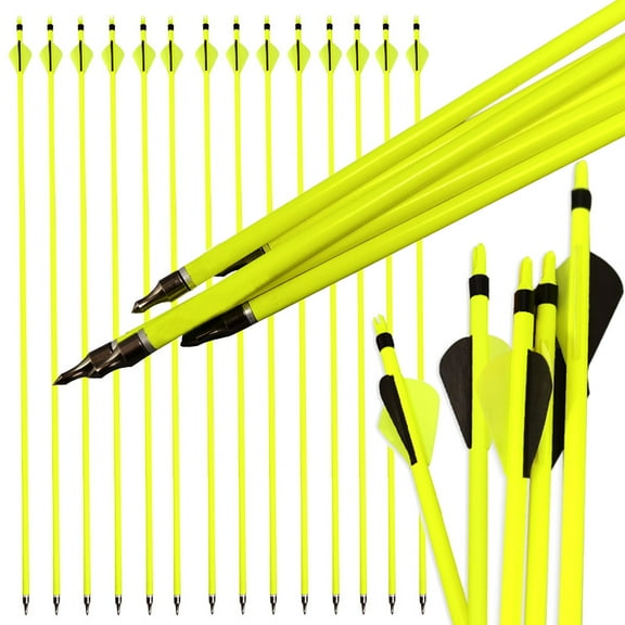 AMEYXGS Archery 30" Archery Carbon Arrows Target Compound Recurve Bow Hunting