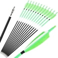 thumbnail image 1 of AMEYXGS Archery Feather Arrows 31 inch Feather Fletched Arrows Carbon Fiber Archery Hunting Arrows for Recurve & Compound Bow,Traditional Bows, 1 of 6