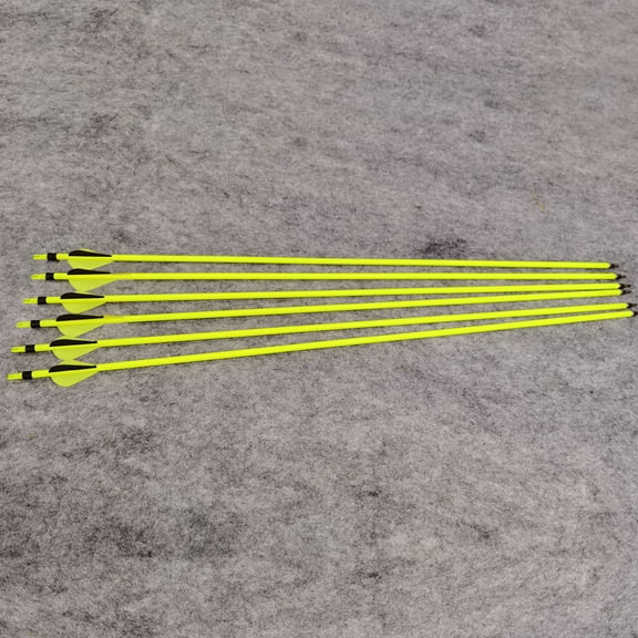 AMEYXGS New Carbon Archery Arrows