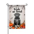 thumbnail image 1 of AMHNF Trick Or Treat Skeleton Dog Linen Fall Winter Halloween Garden Flags for Outside 12x18 inch, 1 of 4