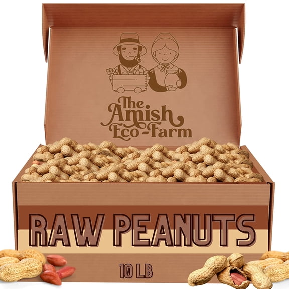 THE AMISH ECO-FARM | Fancy Size | Bulk Raw Peanuts in Shell, Virginia Grown | Unsalted Peanuts | Boiled Peanuts | Squirrels and Birds Feed. (10lb Burlap Bag)