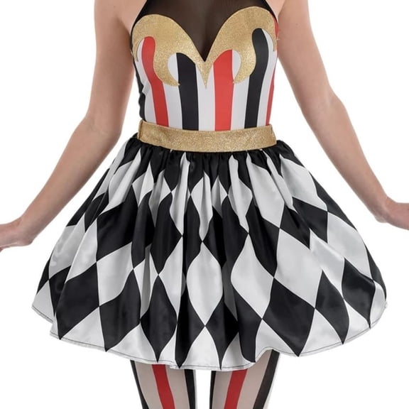 AMSCAN Skirt Vintage Circus Women's (L/Xl)