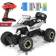 AMTPM 1:12 Large RC Cars,4WD Large Remote Control Monster Truck 2.4 GHz Alloy RC Cars for Kids Adults Age 6 + Birthday Gifts ，4 Batteries(Silver)