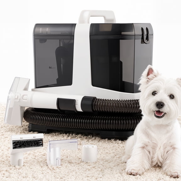 AMTPM Portable Carpet Cleaner Machine, Deep Cleaning for Pet Stain, Couch, Stair, Car Seat, Mattress and Carpet