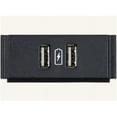thumbnail image 1 of AMX FG553-13 Dual USB Power Module with Printed Charging Symbol, 1 of 1