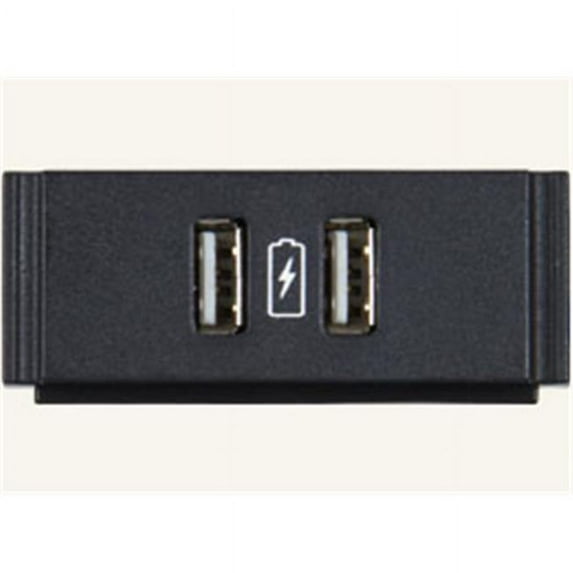 AMX FG553-13 Dual USB Power Module with Printed Charging Symbol
