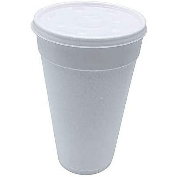 AMZ Empire 16 Oz Disposable Coffee Cups with Lids - Foam Hot Cold Drink Beverage To Go 16 Ounce 50/Case With Lids