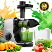 AMZCHEF Slow Cold Press Juicer Machines for Vegetable and Fruit,Masticating Juicer Easy to Clean,Gary